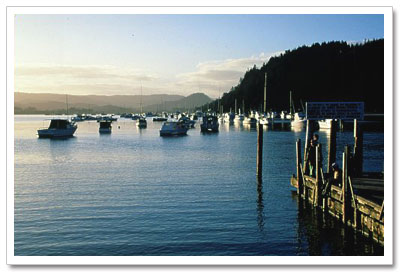 Whangamata Harbour